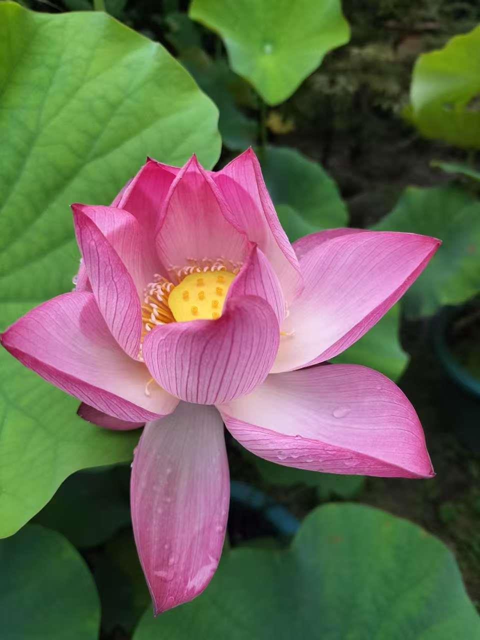 蓝狮娱乐 86e49