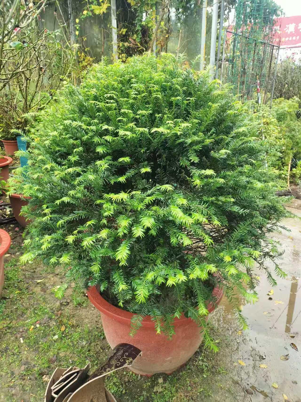 蓝狮娱乐 f5d51