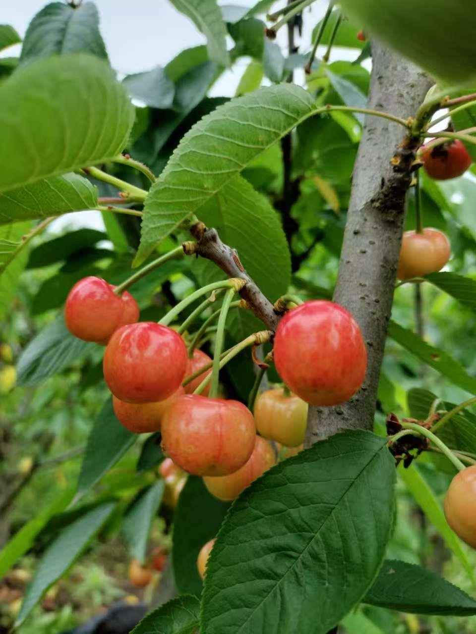蓝狮娱乐 fe9d5