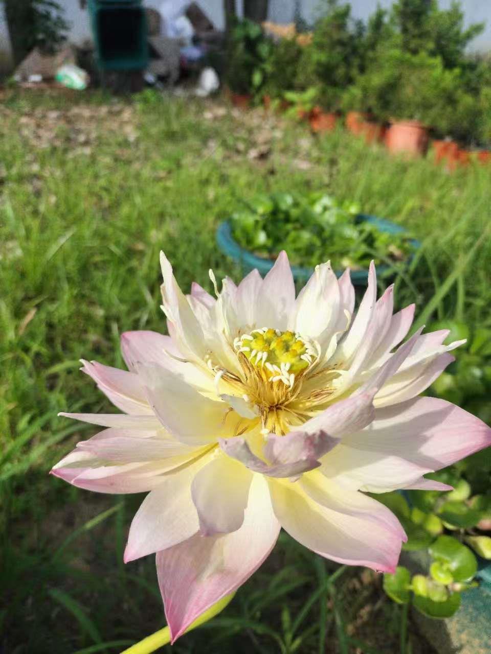 蓝狮娱乐 8621f