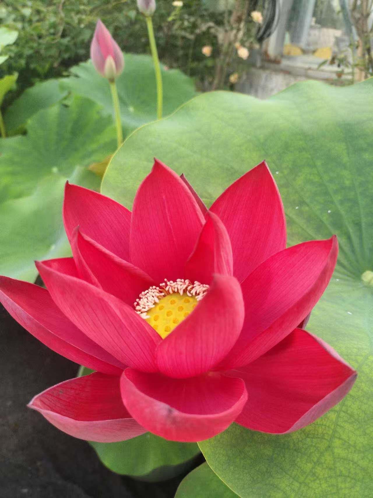 蓝狮娱乐 645f3