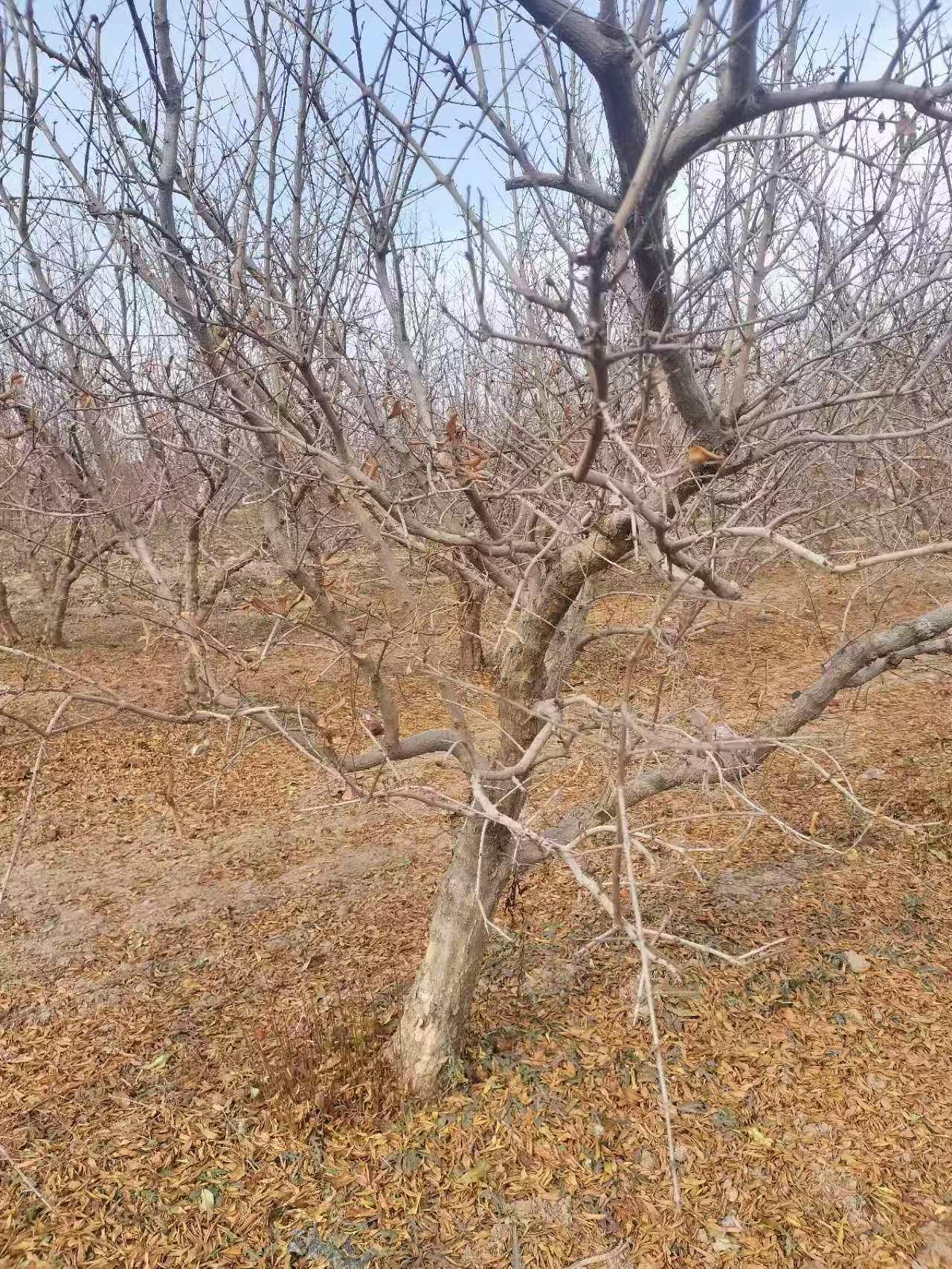 微信图片_202503020830012.jpg