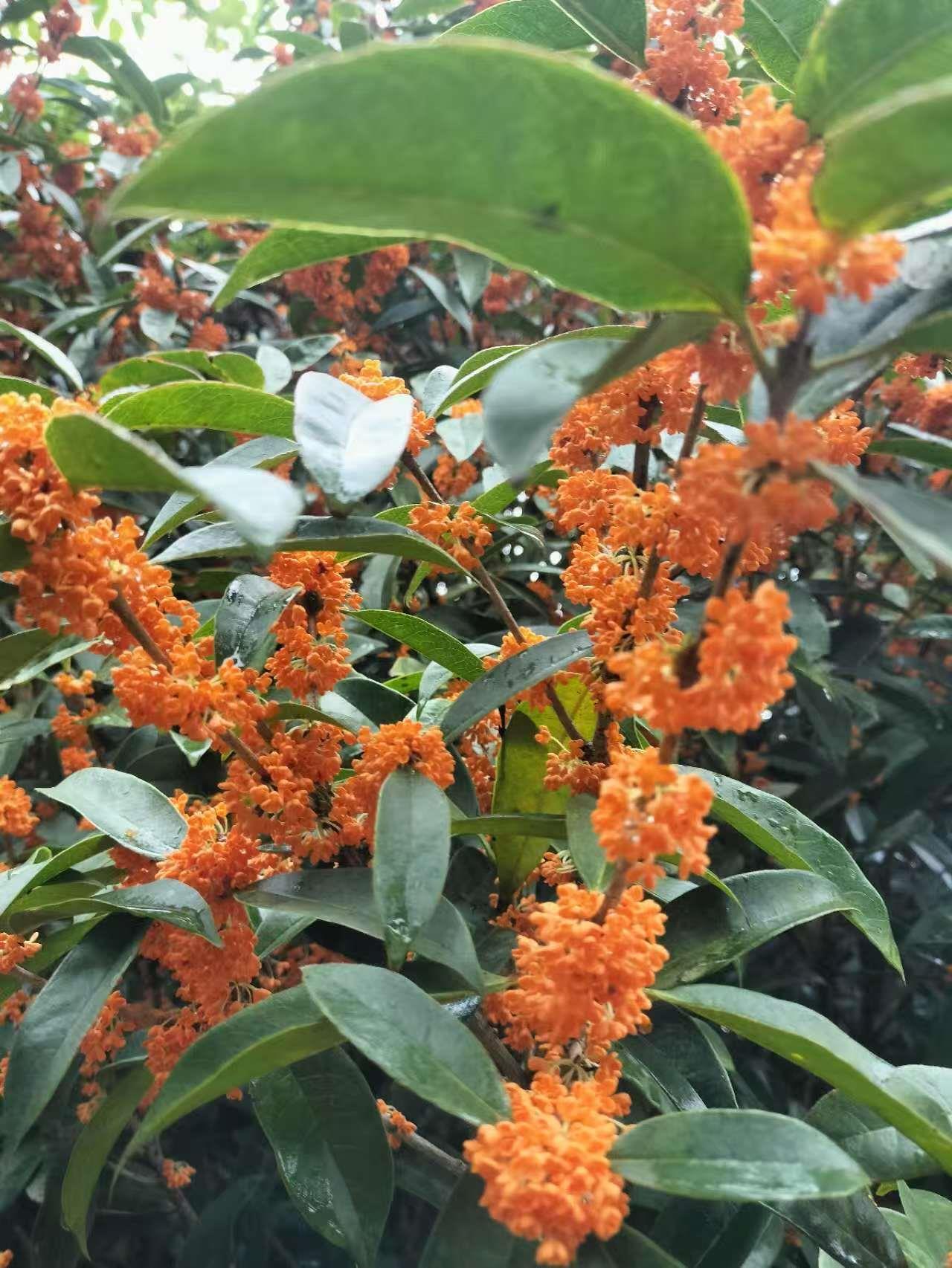 蓝狮娱乐 f9ec8