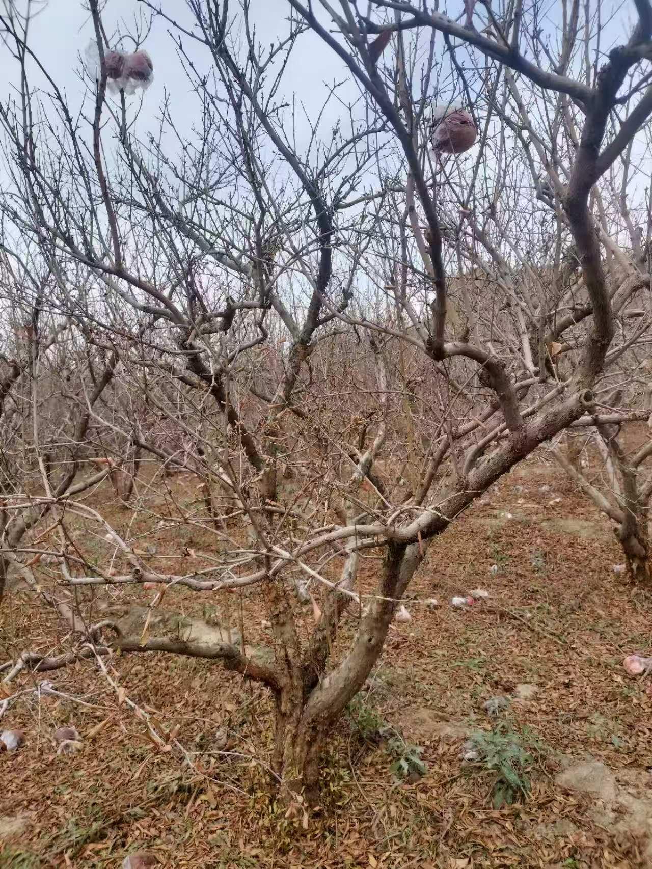 微信图片_20250302083000.jpg